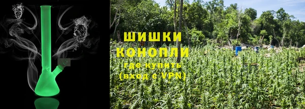 СК Гусь-Хрустальный