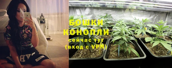 трава Горняк