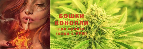 трава Гусев